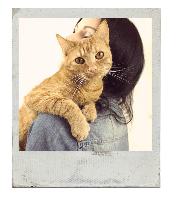 Kleidermaedchen-sonntagsbrunch-Lillie-the-cat-Katze-Jeanshemd-denim-shirt