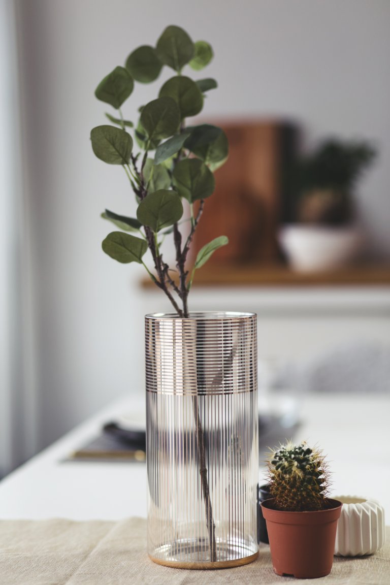 Unsere Wohnküche: ein Ort zum Kochen, Genießen und Leben