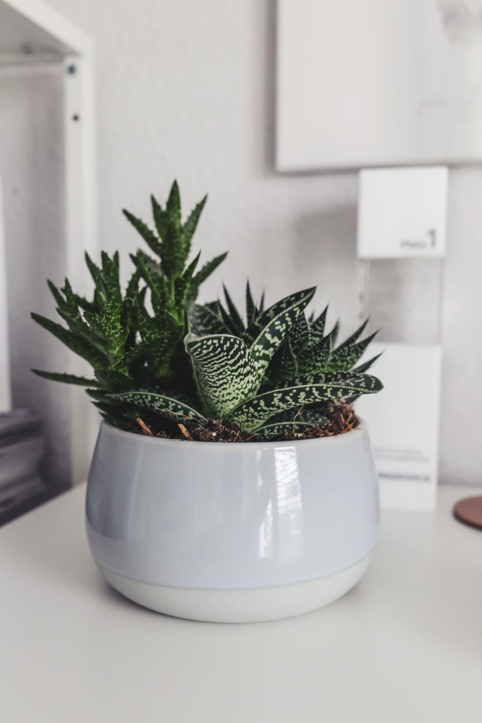 Arbeitszimmer einrichten: Stilvolle Einrichtungsideen für das Home