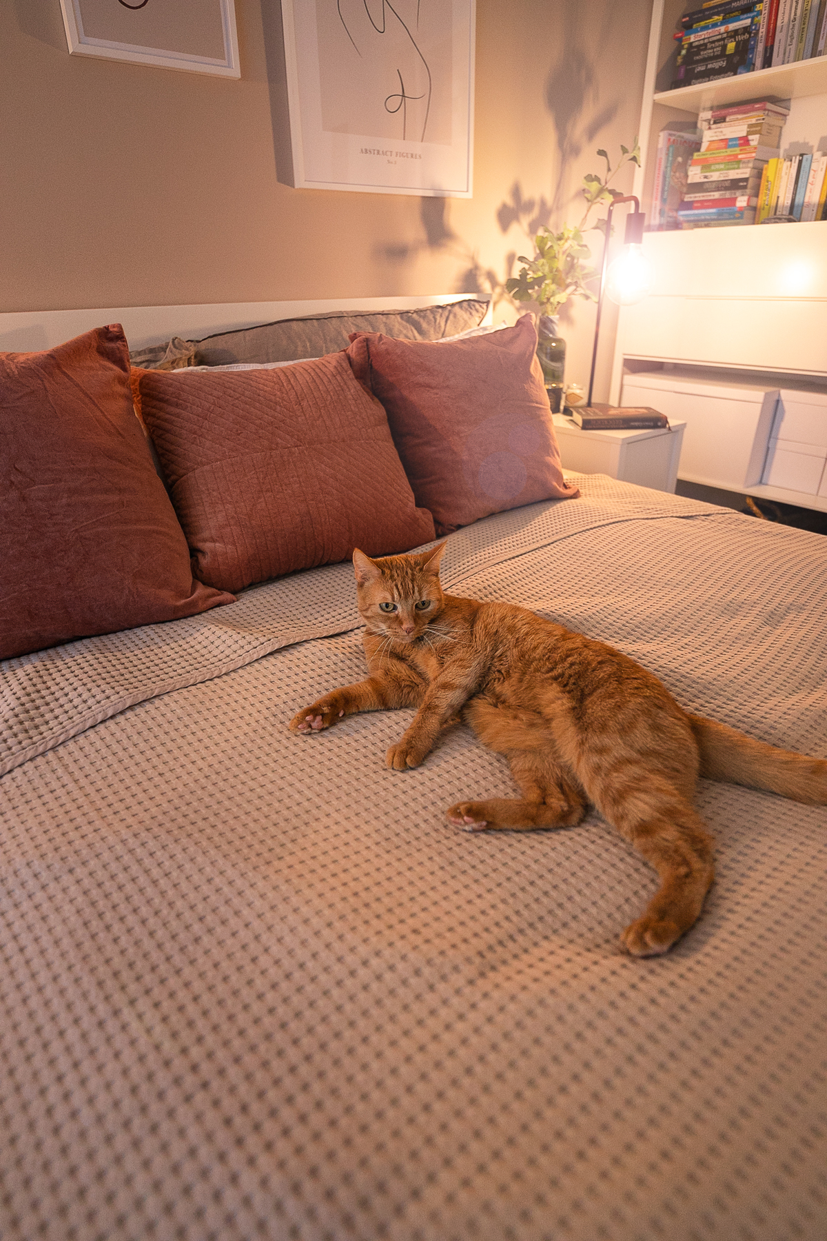 Schlafzimmer Update: So habe ich meinen Schlafbereich gemütlich